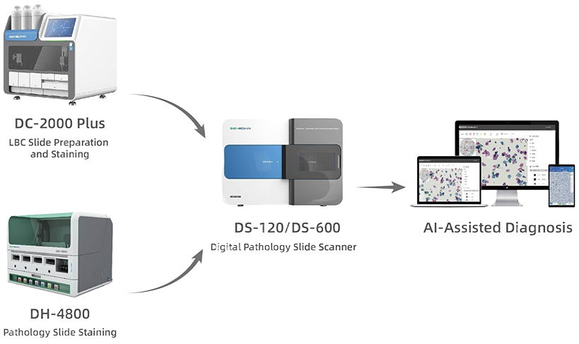 AI-Assisted Digital Pathology Diagnosis Solution